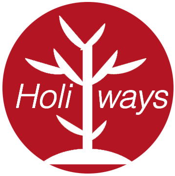logo Holiways Conseil